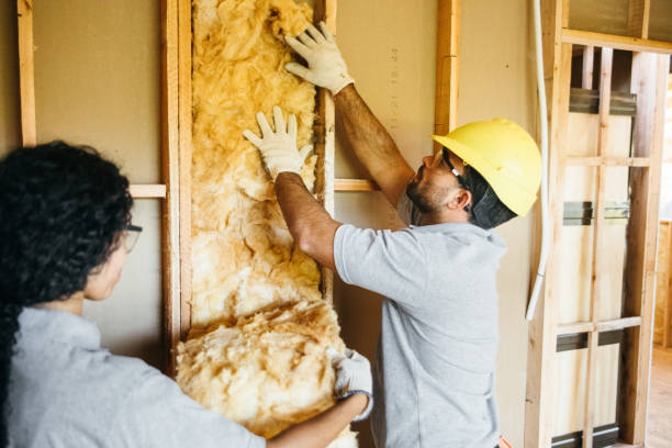 Best Garage Insulation Installation  in Beulah, ND