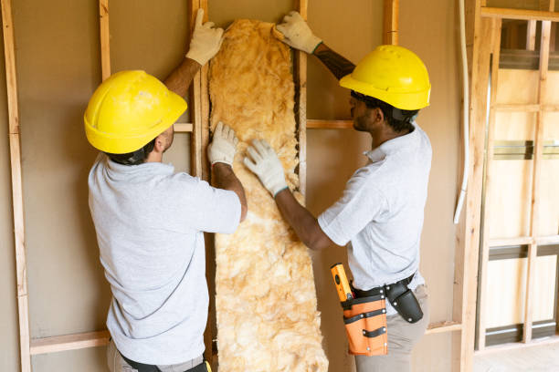 Best Attic Insulation Installation  in Beulah, ND