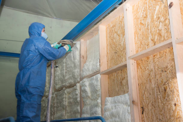 Best Soundproof Insulation Installation  in Beulah, ND