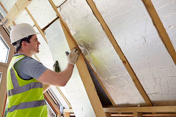 Best Insulation Repair Services  in Beulah, ND