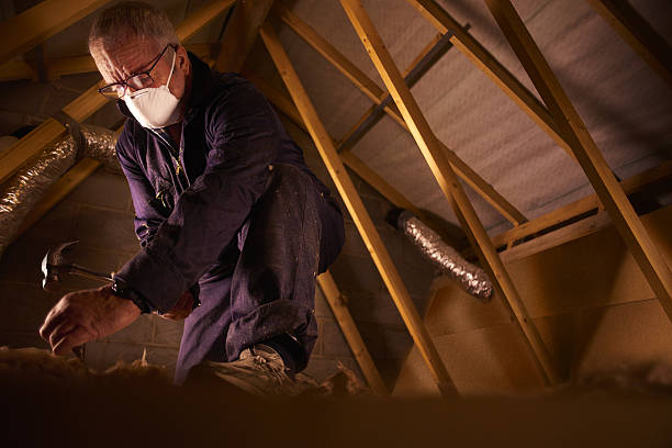 Best Insulation Contractor Near Me  in Beulah, ND